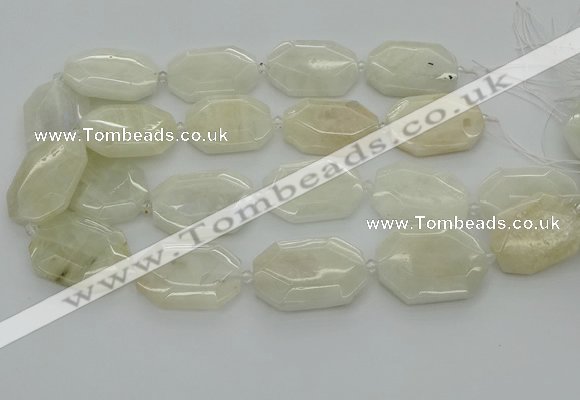 CNG6927 20*30mm - 35*45mm faceted freeform white moonstone beads