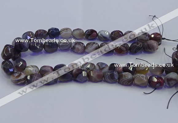 CNG6939 12*16mm - 13*18mm faceted nuggets Botswana agate beads