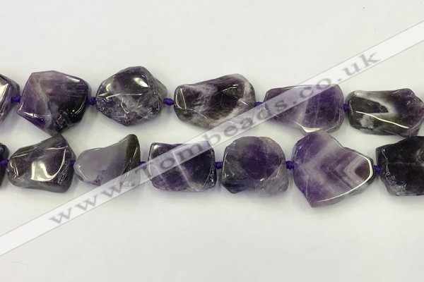 CNG6946 15.5 inches 22*25mm - 25*30mm freeform amethyst beads