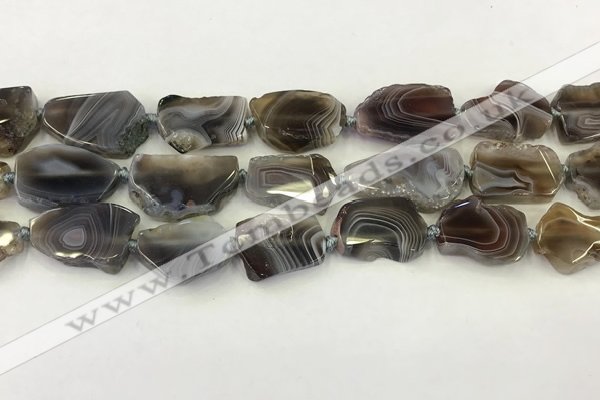 CNG6947 15.5 inches 18*20mm - 22*25mm freeform Botswana agate beads