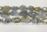 CNG6949 15.5 inches 22*30mm - 30*40mm freeform blue chalcedony beads