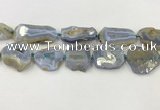 CNG6951 15.5 inches 22*30mm - 30*40mm freeform blue chalcedony beads