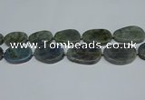 CNG7052 15.5 inches 25*35mm - 30*45mm freeform labradorite beads