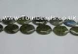 CNG7098 25*35mm - 35*45mm faceted freeform labradorite beads