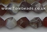 CNG7347 15.5 inches 10mm faceted nuggets botswana agate beads