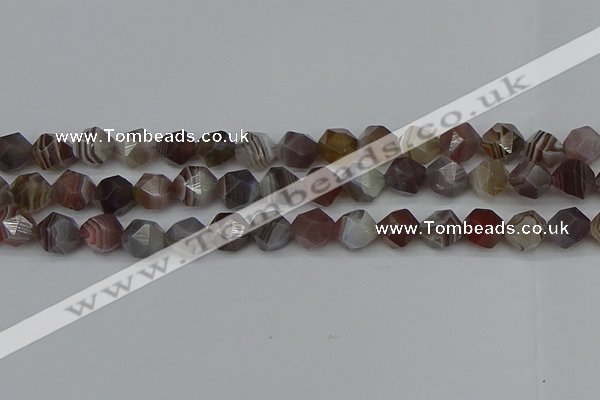 CNG7347 15.5 inches 10mm faceted nuggets botswana agate beads