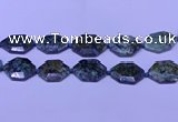 CNG7515 25*35mm - 30*40mm faceted freeform African turquoise beads