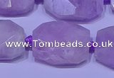 CNG7523 15.5 inches 18*25mm - 25*35mm faceted freeform kunzite beads