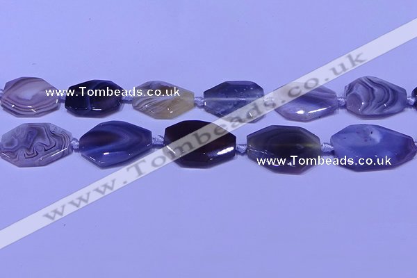 CNG7527 18*25mm - 25*35mm faceted freeform Botswana agate beads