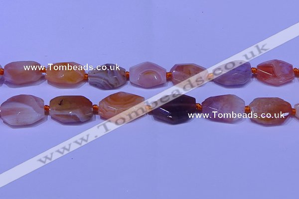 CNG7528 18*25mm - 25*35mm faceted freeform red Botswana agate beads