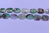 CNG7529 18*25mm - 25*35mm faceted freeform australia chrysoprase beads