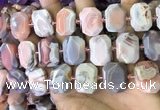 CNG7561 18*25mm - 20*28mm faceted freeform red Botswana agate beads