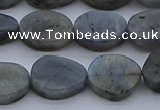 CNG7578 15.5 inches 10*14mm - 13*18mm freeform labradorite beads