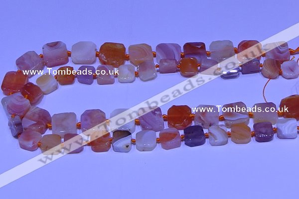 CNG7605 15.5 inches 12*13mm - 17*18mm freeform red botswana agate beads