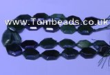 CNG7627 20*30mm - 22*32mm faceted freeform Canadian Jade beads