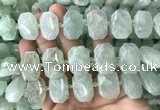 CNG7753 13*18mm - 15*25mm faceted freeform light prehnite beads