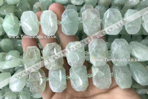 CNG7753 13*18mm - 15*25mm faceted freeform light prehnite beads