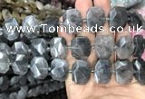 CNG7755 13*18mm - 15*25mm faceted freeform cloudy quartz beads