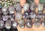 CNG7777 15.5 inches 13*18mm - 15*25mm faceted freeform amethyst beads