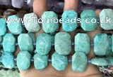 CNG7786 13*18mm - 15*25mm faceted freeform Russian amazonite beads