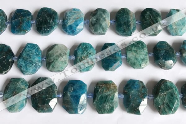 CNG7787 15.5 inches 13*18mm - 15*25mm faceted freeform apatite beads