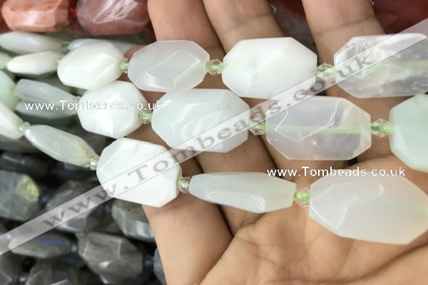 CNG7812 13*18mm - 18*25mm faceted freeform light prehnite beads