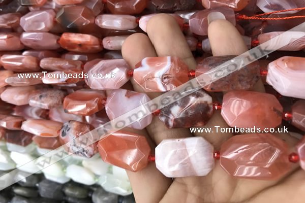 CNG7816 13*18mm - 18*25mm faceted freeform red agate beads