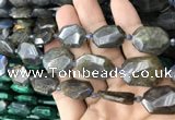 CNG7819 15.5 inches 13*18mm - 18*25mm faceted freeform labradorite beads