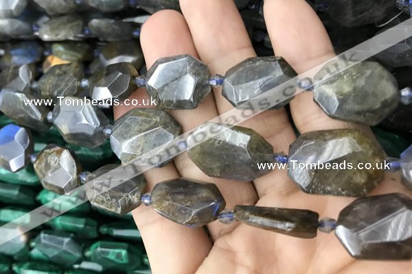 CNG7819 15.5 inches 13*18mm - 18*25mm faceted freeform labradorite beads