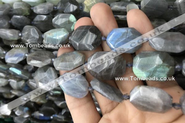 CNG7820 15.5 inches 13*18mm - 18*25mm faceted freeform labradorite beads