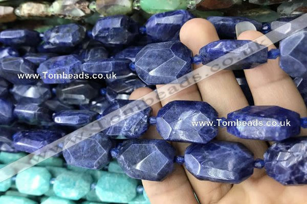 CNG7822 15.5 inches 13*18mm - 18*25mm faceted freeform sodalite beads