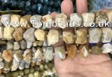 CNG7844 12*16mm - 15*20mm faceted nuggets fossil coral beads