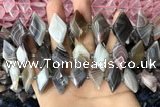 CNG7877 13*20mm - 15*25mm faceted freeform Botswana agate beads