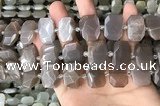 CNG7886 13*18mm - 15*25mm faceted freeform moonstone beads