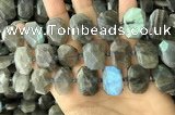 CNG7887 13*18mm - 15*25mm faceted freeform labradorite beads