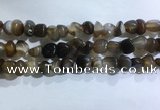 CNG8106 15.5 inches 6*8mm - 10*12mm agate gemstone chips beads