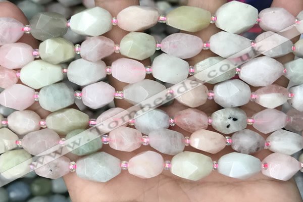 CNG8516 15.5 inches 8*12mm - 10*15mm faceted nuggets morganite beads