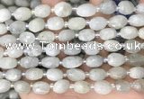 CNG8530 15.5 inches 8*9mm - 9*11mm faceted nuggets moonstone beads