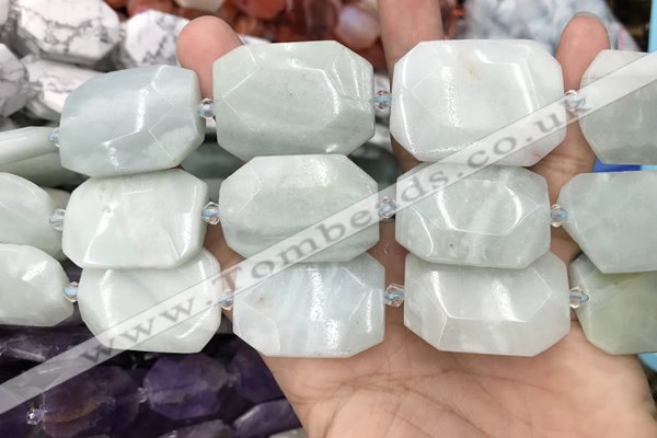 CNG8555 22*30mm - 25*35mm faceted freeform amazonite beads