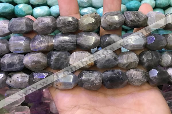 CNG8584 13*18mm - 15*20mm faceted nuggets labradorite beads