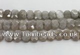 CNG8615 10*13mm - 12*16mm faceted freeform moonstone beads