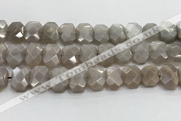 CNG8615 10*13mm - 12*16mm faceted freeform moonstone beads