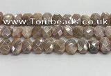 CNG8617 10*13mm - 12*16mm faceted freeform AB-color moonstone beads