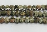 CNG8619 10*13mm - 12*16mm faceted freeform rhyolite beads