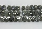 CNG8622 10*13mm - 12*16mm faceted freeform labradorite beads