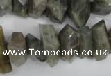 CNG867 15.5 inches 8*15mm – 13*24mm faceted nuggets labradorite beads