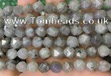 CNG8717 15.5 inches 10mm faceted nuggets labradorite gemstone beads