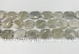 CNG8808 15.5 inches 16mm - 20mm faceted freeform moonstone beads