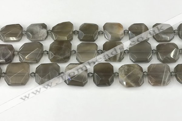 CNG8810 15.5 inches 16mm - 20mm faceted freeform moonstone beads