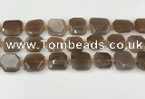 CNG8811 15.5 inches 16mm - 20mm faceted freeform moonstone beads